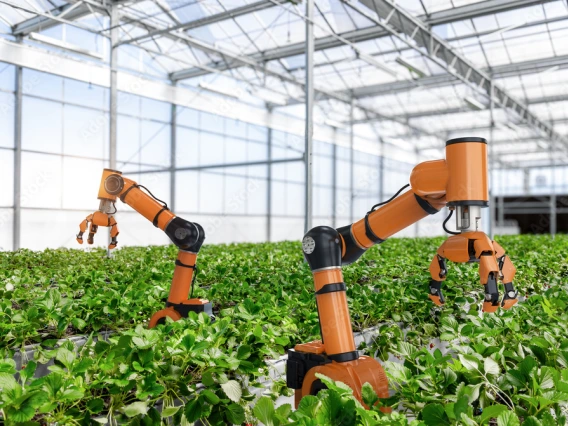 Agriculture and AI