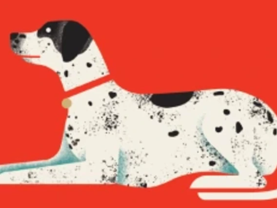 Illustration of white dog in front of red background