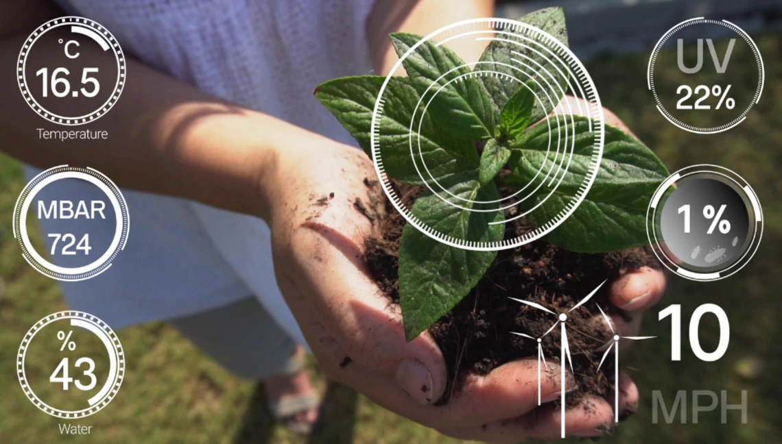Hands holding a plant with data symbols around