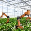 Agriculture and AI